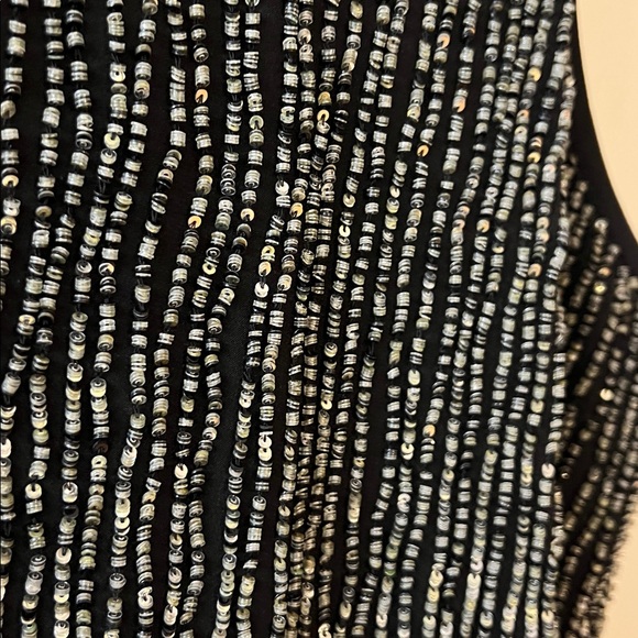 🪅Eileen Fisher Silk Rivulet Lined Beaded Black Silvee Sparkle Dress XL - Picture 7 of 8